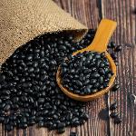 Black Gram Bean